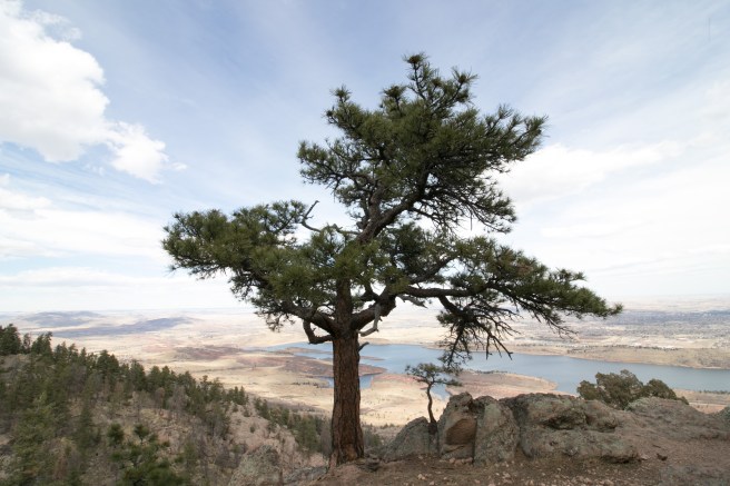 Boston and Colorado-208