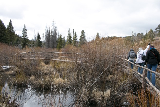 Boston and Colorado-362