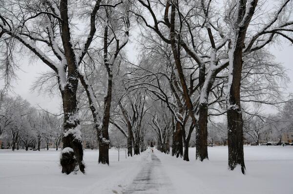 csu oval snow