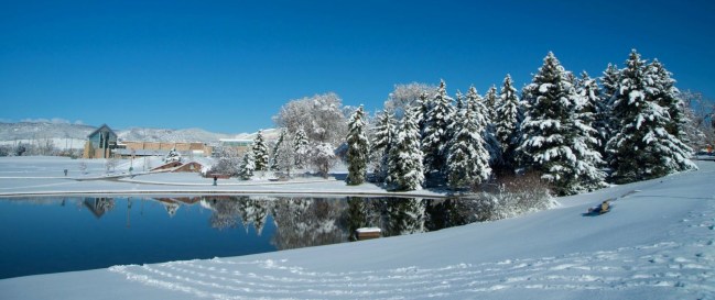 Snow at Colorado State University